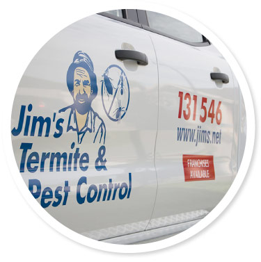 Pest Control Coomera  Gold Coast Pest Services